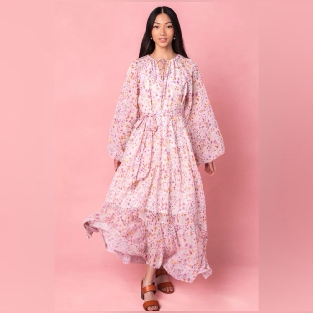 Ivy City Co Imogen maxi dress in blush floral long sleeve dress plus size 3X - Picture 1 of 11